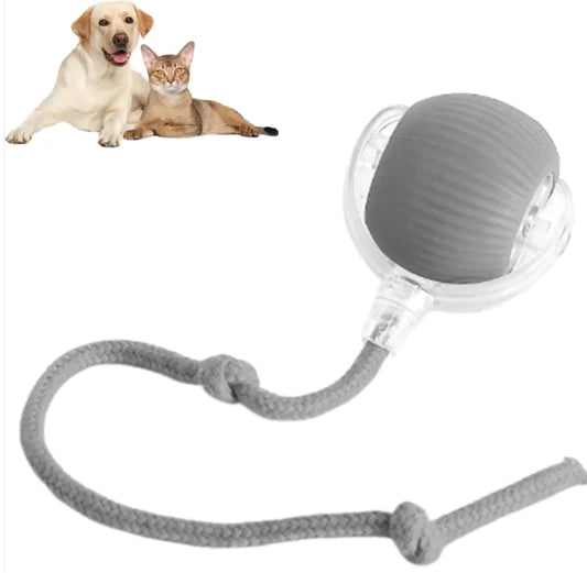 Smart Automatic Rolling Pet Ball